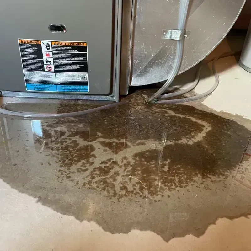 Appliance Leak Cleanup in Bement, IL